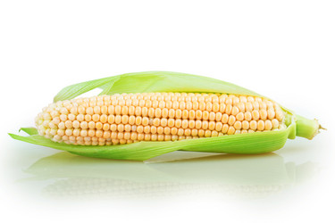 Similar image 2947592