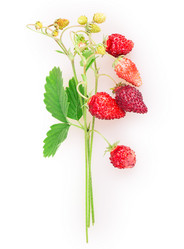 Similar image 2947594