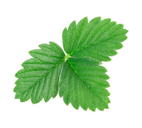 Similar image 2947595