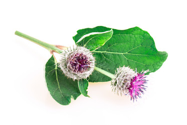 Similar image 2947597