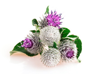 Similar image 2947598