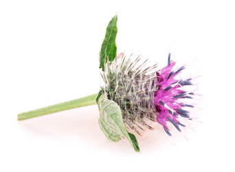 Similar image 2947599