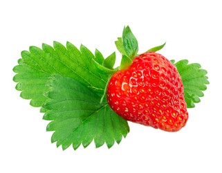 Similar image 2947669