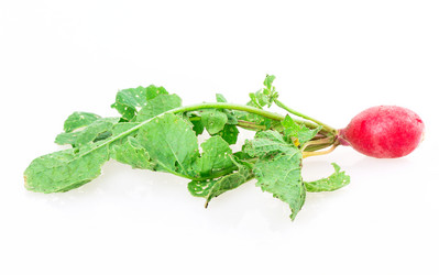 Similar image 2947671