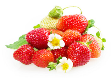 Similar image 2947674