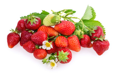 Similar image 2947677