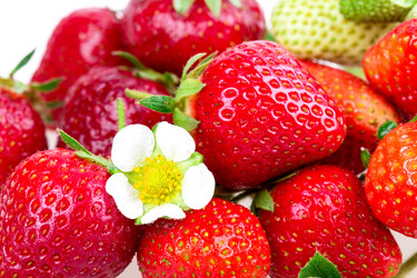 Similar image 2947678