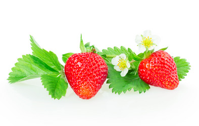 Similar image 2947682