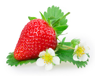 Similar image 2947683