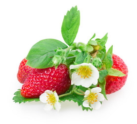 Similar image 2947684