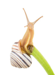 Similar image 2947686