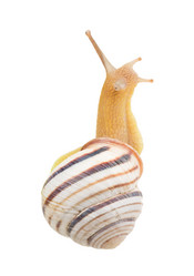 Similar image 2947687