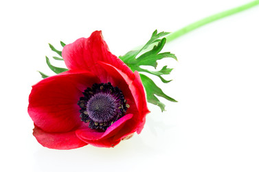 Similar image 2947688