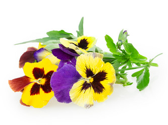 Similar image 2947689