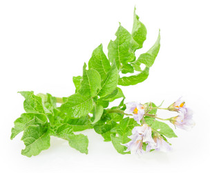 Similar image 2947690