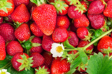 Similar image 2947693