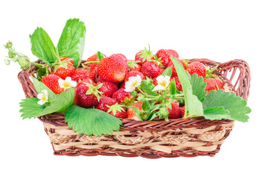 Similar image 2947694