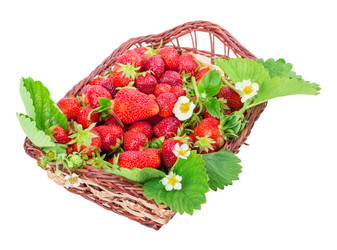 Similar image 2947695