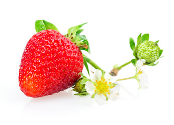 Similar image 2947696