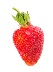 Similar image 2947697