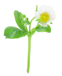 Similar image 2947698