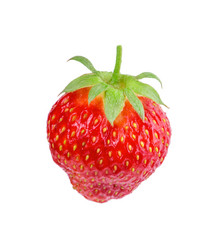 Similar image 2947699