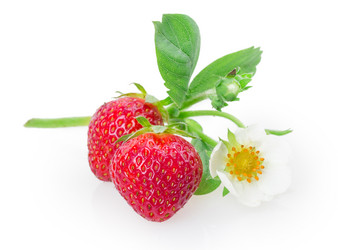 Similar image 2947700