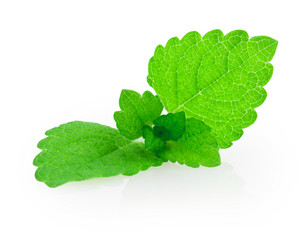 Similar image 2947706