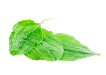 Similar image 2947707