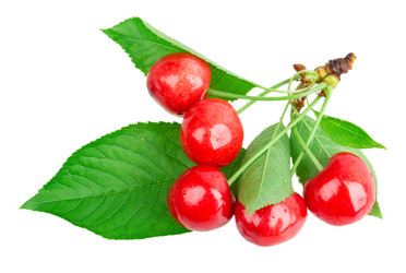 Similar image 2947708