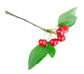 Similar image 2947709