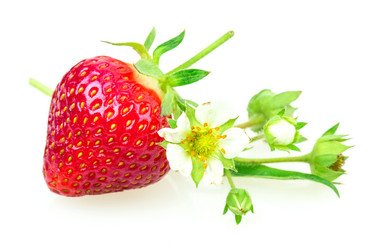 Similar image 2947713