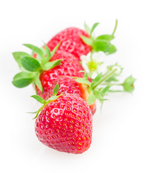 Similar image 2947719