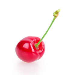 Similar image 2947721