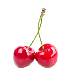 Similar image 2947722