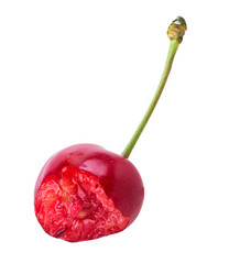 Similar image 2947726