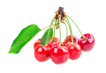 Similar image 2947731