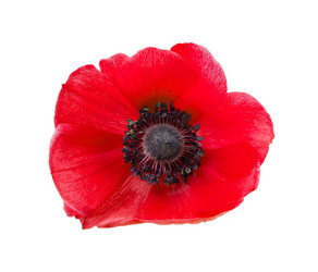 Similar image 2947732