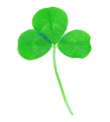 Similar image 2947735