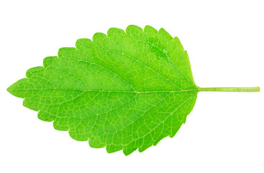 Similar image 2947737