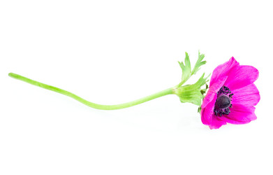 Similar image 2947740