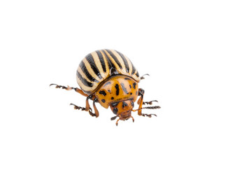 Similar image 2947741