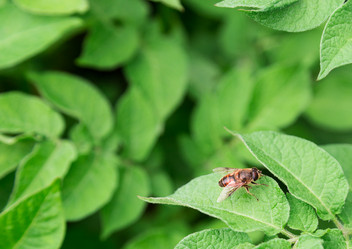 Similar image 2947743