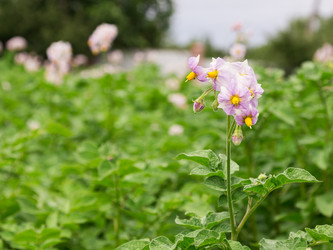 Similar image 2947744