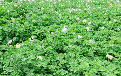 Similar image 2947747