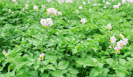 Similar image 2947748