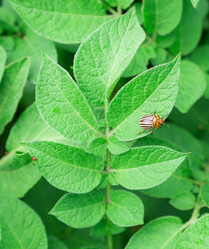 Similar image 2947749