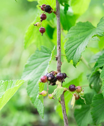 Similar image 2947750