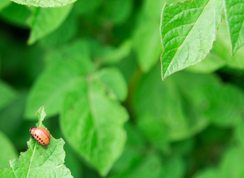 Similar image 2947751