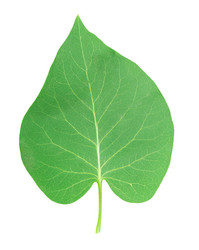 Similar image 2947755